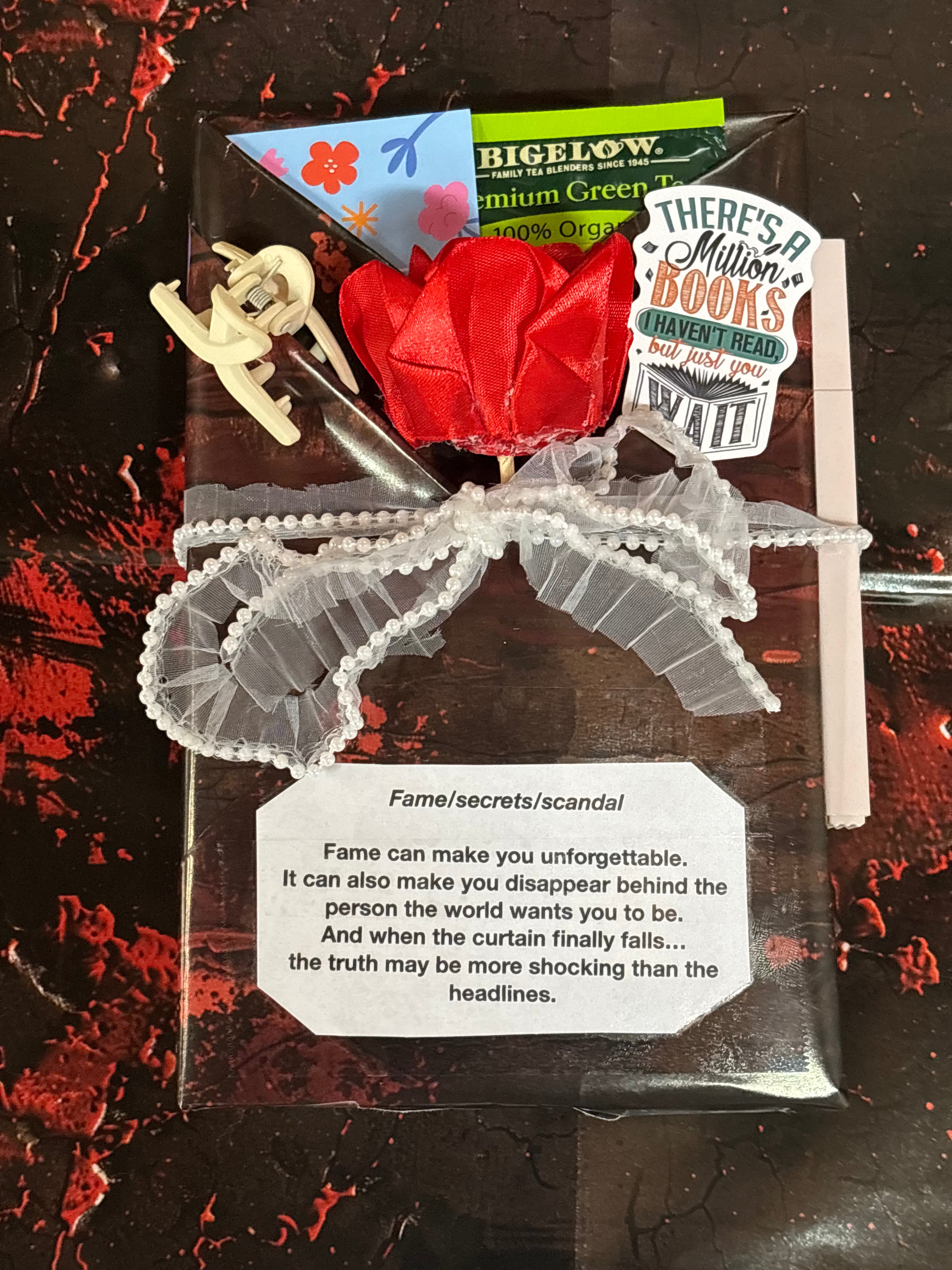 The Wrapped Secret - Romance Edition