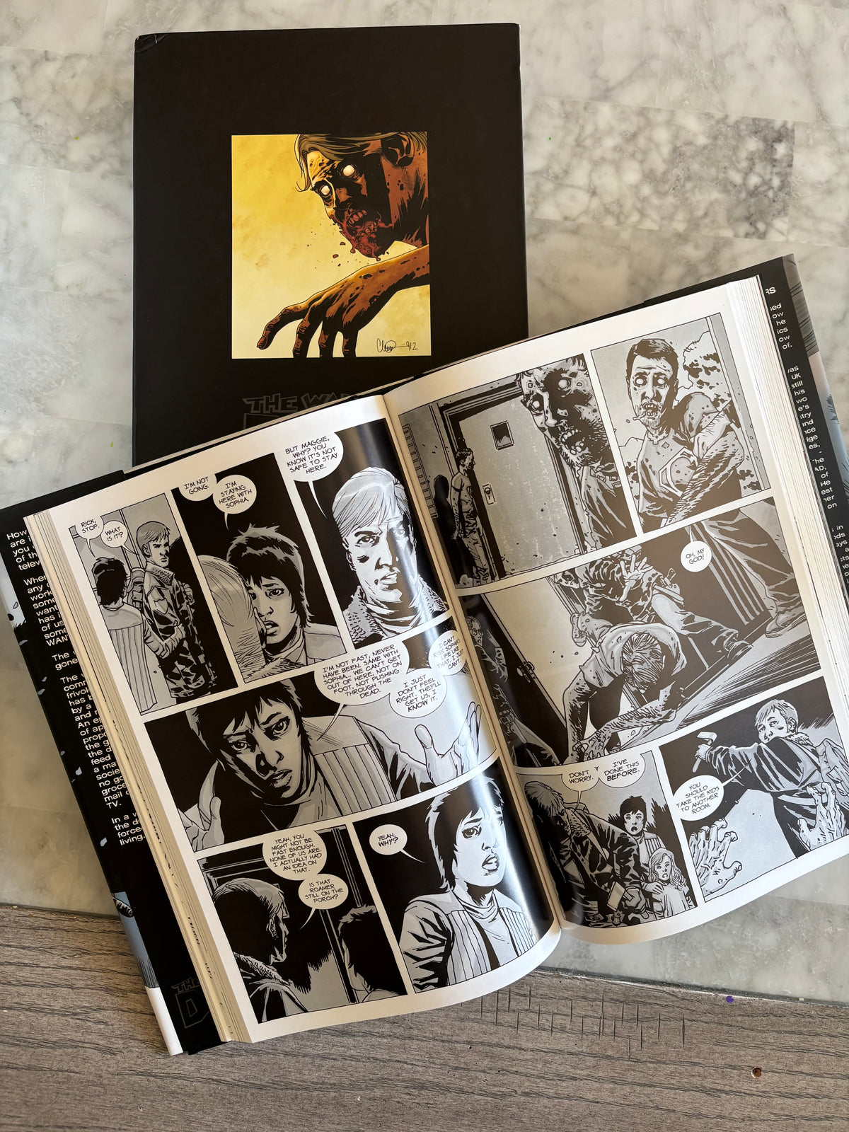 The Walking Dead Graphic Novel